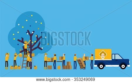 Procedures And Production Processes. Contribution Famer Concept, Product
