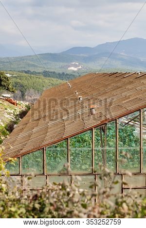 Greenhouse.  An Industrial Greenhouse On A Farm In Turkler In The Province Of Alanya, Southern Turke