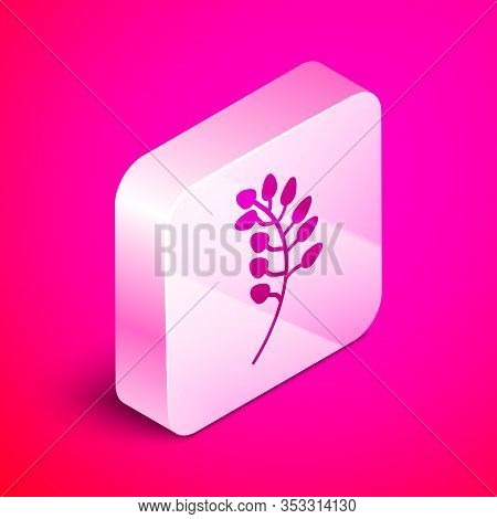 Isometric Willow Leaf Icon Isolated On Pink Background. Silver Square Button. Vector Illustration