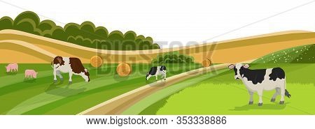 Cow And Pig Graze On Grassland Meadow Vector Illustration. Animal Farm, Cattle Livestock Swine Eatin