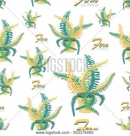 Fern Background. Fern Leaves. Vector Pattern With Houseplant. Big Fern Leaves In A Flower Pot. Exoti