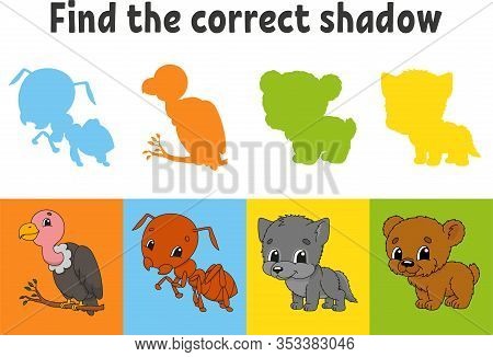 Find The Correct Shadow. Vulture, Ant, Wolf, Bear. Education Worksheet. Matching Game For Kids. Colo