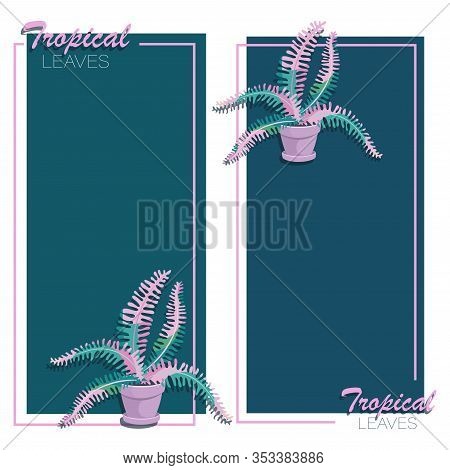 Fern Backgrounds. Set. Fern Flower Leaves. Vector Frame, Poster With Houseplant. Big Fern Leaves In 