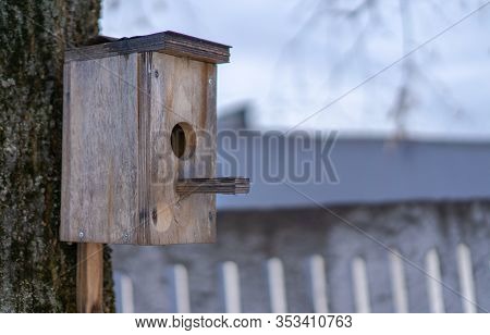 Birdhouse On A Tree For Birds.birdhouse On A Tree For Birds