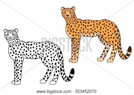 Cute Cartoon Cheetah Vector &amp; Photo (Free Trial) | Bigstock
