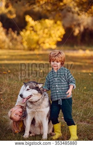 Funny Little Couple Kids And Dog Together As Friends As Love Of Animals Concept. Little Kids Walking