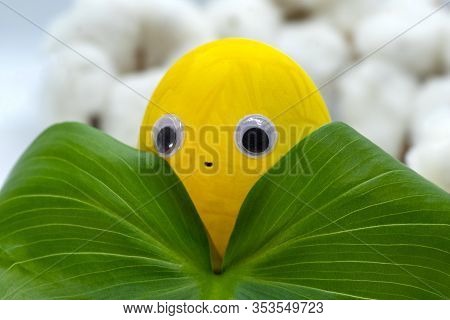 Childrens Craft Egg Painted With Yellow Paint. Eyes On The Egg. An Egg Is Hiding Behind A Green Leaf