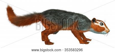 3D Rendering Red Bush Squirrel On White
