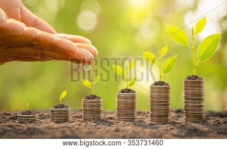 Hand Watering To Small Tree On Top Of Coin Stack. Business Success, Financial Or Money Growing Conce