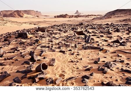 Unexpected Stones Testify To The Past - Sahara Landscape  With  Relicts Of A Petrified Forest - The 