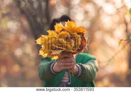 Girl Holds A Bouquet Of Autumn Leaves On Outstretched Arms. In Warm Autumn Colors With A Blurred Bac