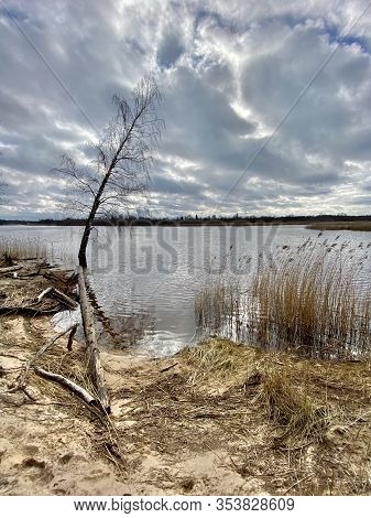 Baltic Sea Autumn Coast Beach Carnikava Gauja River Latvia