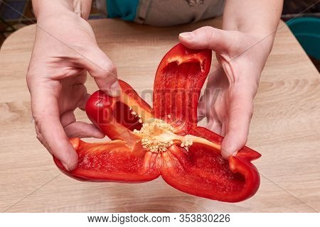 Woman Housewife Farmer Holds Cut Red Bell Pepper With Hands. Seeds Of Bell Pepper. Removal Of The Co