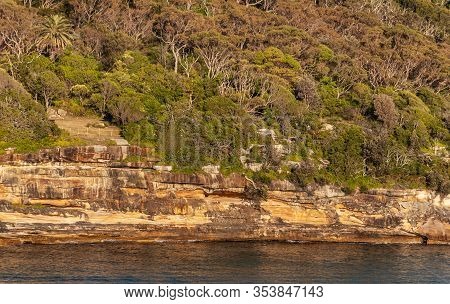 Sydney, Australia - Decmber 11, 2009: Green Vegetation On North Head Cliffs At Gate Between Tasman S