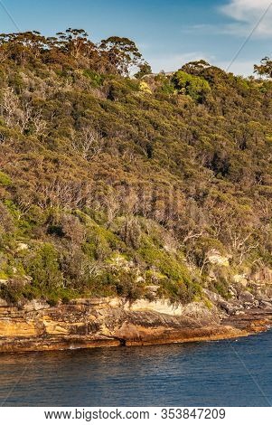 Sydney, Australia - Decmber 11, 2009: Green Vegetation Portrait On North Head Cliffs At Gate Between