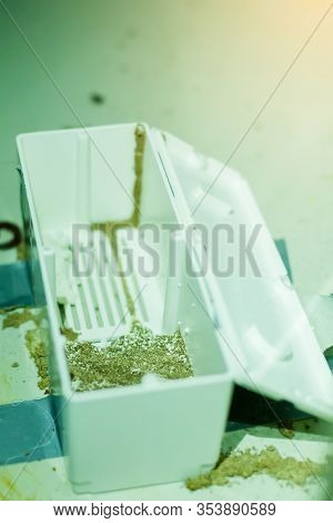 Selective Focus To Baits Stations Are Put On Ground Floor, Cardboard, Or Some Other Cellulose-based