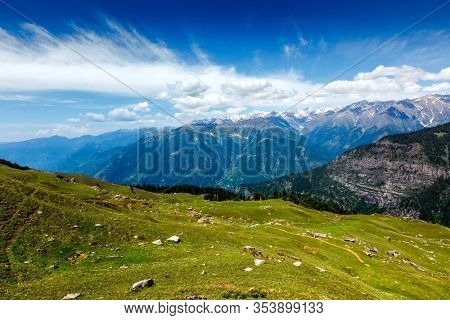 Spring meadow in Kullu valley in Himalaya mountains. Himachal Pradesh, India