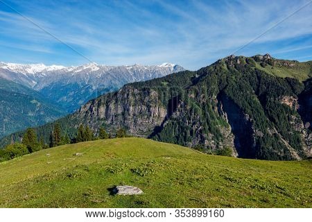 Spring meadow in Kullu valley in Himalaya mountains. Himachal Pradesh, India