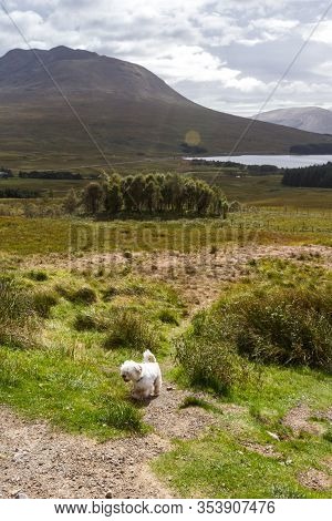 Loch Tulla View Point, Scotland