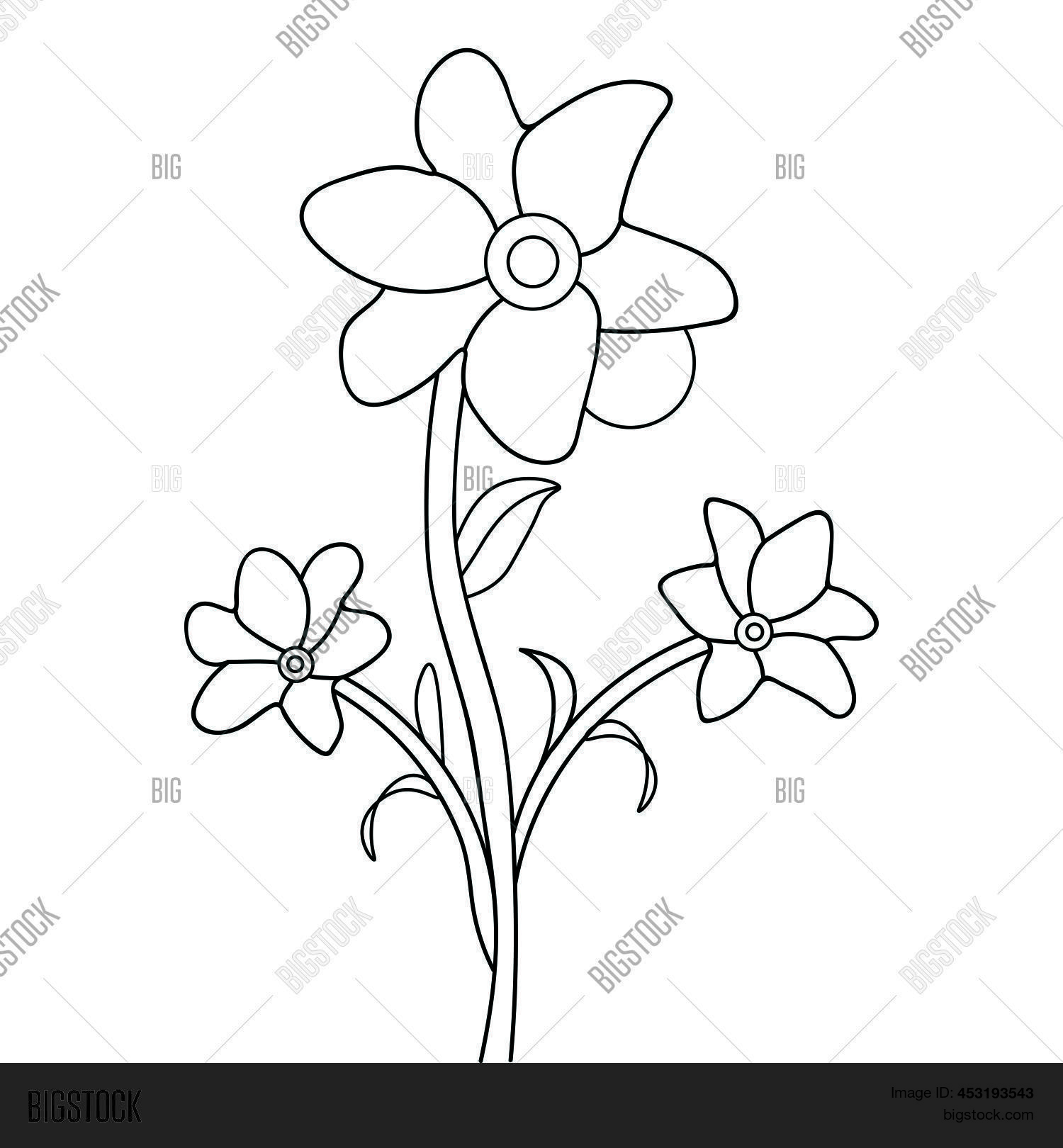 Black White Line Art Vector & Photo (Free Trial) Bigstock