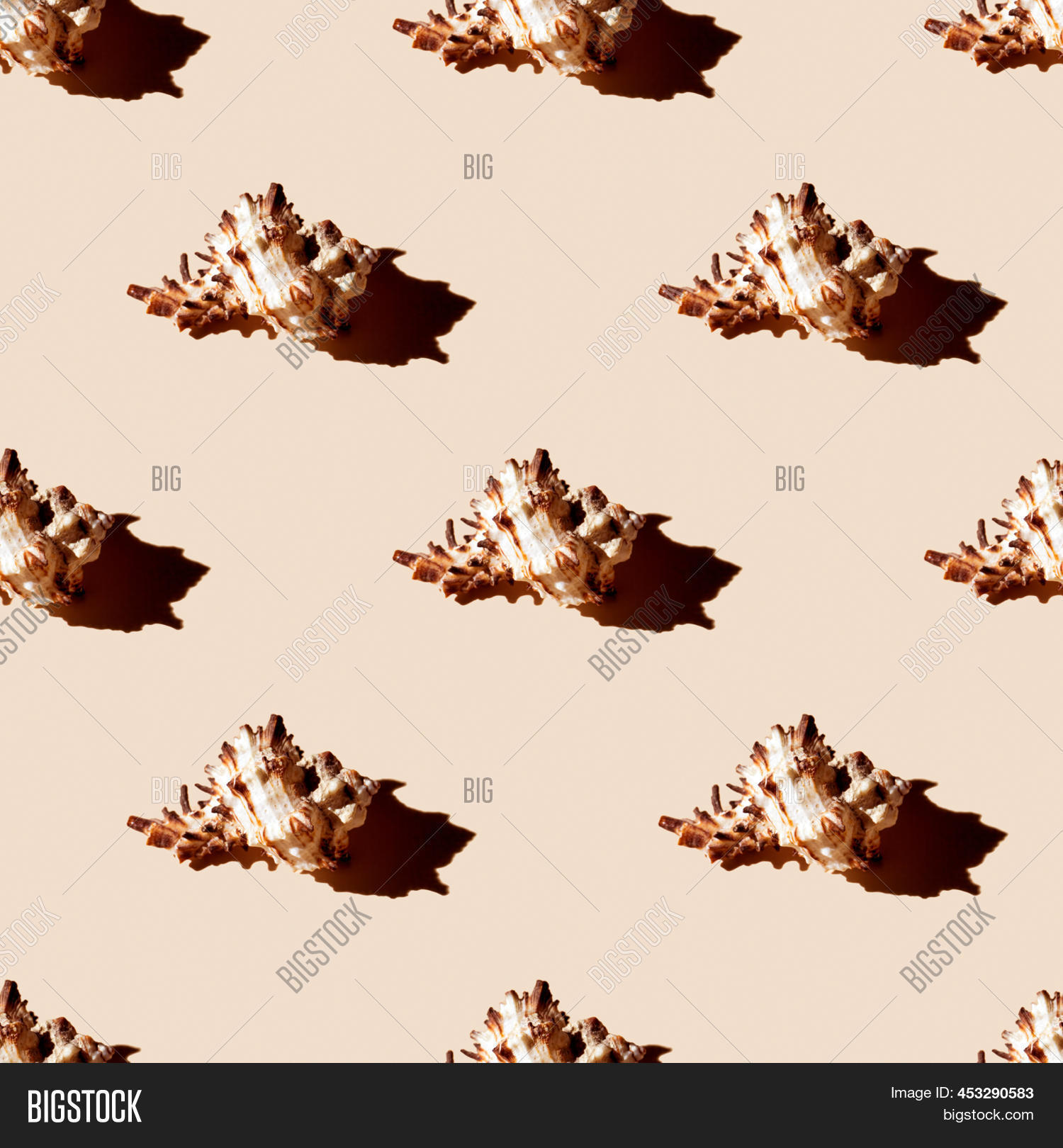 Shell Clum Pattern Seamless Pattern Clam Image & Photo (Free Trial) | Bigstock