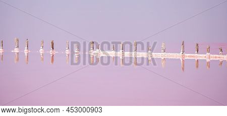 Pink Salt Cristales. Natural Pink Salt Lake Texture. Salt Mining. Salty Pink Lake With Crystals Of S