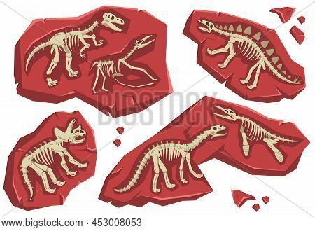 Ancient Dinosaur Skeletons In Rocks Flat Set Isolated Against White Background Vector Illustration