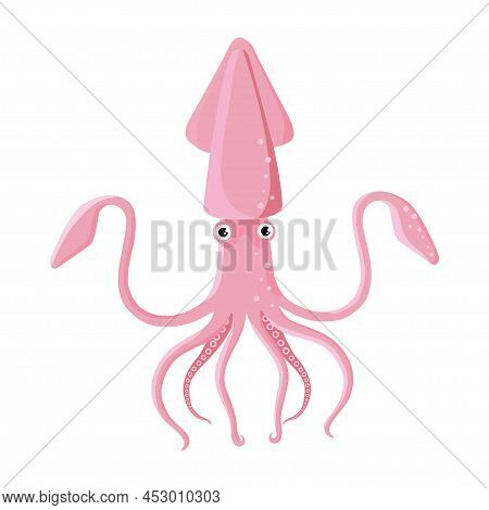 Illustration Beautiful Pink Squid On White Background. Vector Of Sea Squid With Long Tentacles In Ca