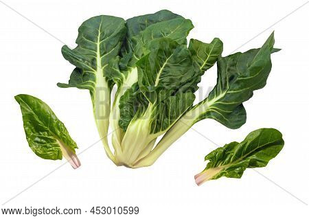 Balkan Cuisine. Blitva - Chard Leaves  - Popular Leafy Vegetables. Isolated On White