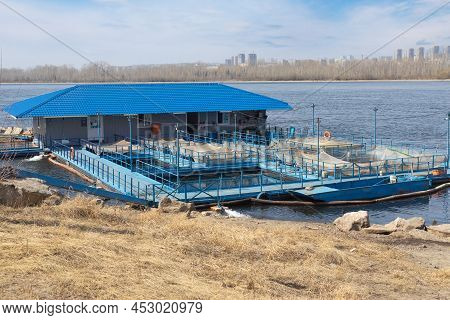 Krasnoyarsk, Russia - April 17, 2022: View On Trout Fish Farm On Yenisei River In Springtime. Cages 