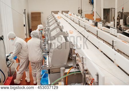 Meat Processing Plant.people Working At A Chicken Factory - Stock Photo.automated Production Line In