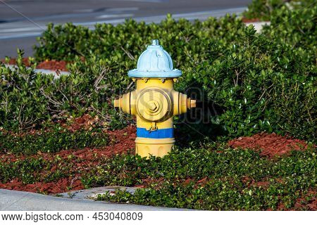 Close Up Photograph Yellow Painted Fire Hydrant In An Overgrown Grassy Area For A New Undeveloped Su
