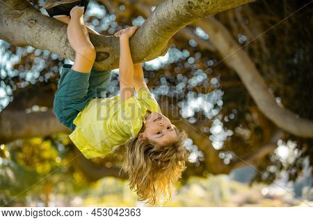 Kid Boy Playing And Climbing A Tree And Hanging Branch. Young Boy Playing And Climbing A Tree And Ha