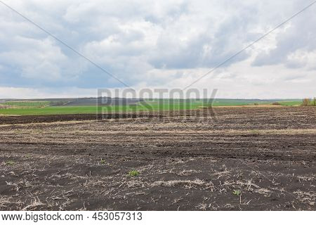 Plowed Field And Blue Sky. Prepared Land For Sowing
