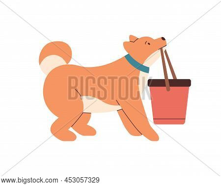 Obedient Dog Carrying, Bringing Bucket In Mouth. Doggy Pet Holding Thing In Jaws, Looking Up With Ob