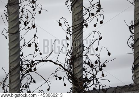 Dry Vine Plant Slimbing On Iron Fence In Winter Snow Background