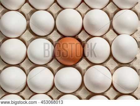 Chicken Eggs Brown And White In A Tray. View From Above.