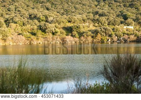 Tail Bank Of The Alagon River Under The Gabriel And Galan Dam Sunny Extremadura