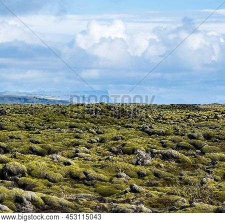 Scenic Autumn Green Lava Fields Near Fjadrargljufur  Canyon In Iceland. Green  Moss On Volcanic Lava