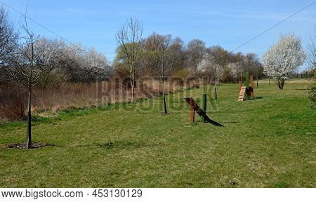 Park For Dogs. Training Ground For Dogs. Tunnels And Beams, Obstacle Courses Made Of Acacia And Plas