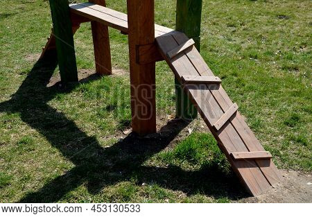 Park For Dogs. Training Ground For Dogs. Tunnels And Beams, Obstacle Courses Made Of Acacia And Plas