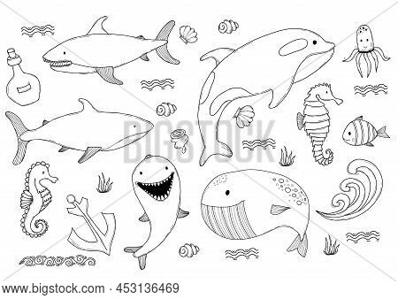 Set Of Marine Life. Cute Big Whale And Shark, Killer Whale And Dolphin, Seahorse And Fish, Squid And
