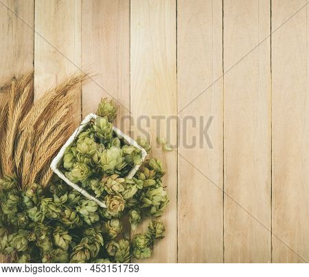 Fresh Green Hops And Wheat Spikes. Green Hops, Malt, Ears Of Barley And Wheat Grain. Beer Production