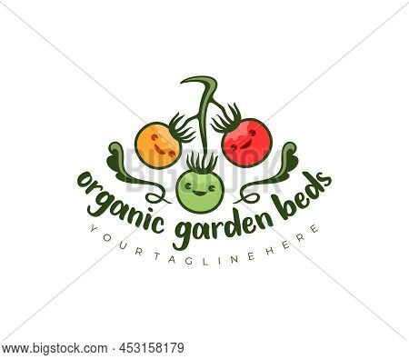 Tomatoes Cartoon Character On The Stem, Vegetables And Food, Logo Design. Garden Beds, Organic Farm 