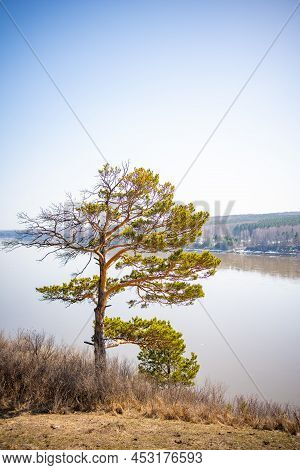 View From The Shore Of Open-air Museum Tomsk Pisanitsa Located North-west Of Kemerovo On The Right B