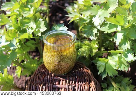 Lovage Pesto And Lovage In The Garden