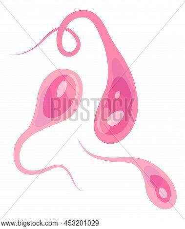 Pink Human Gamete Cells. Cartoon Moving Microorganisms