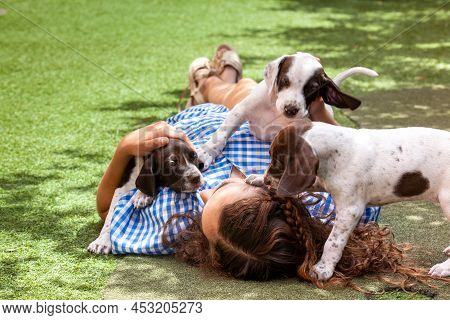 Beautiful Young Girl Having Fun With Her Small French Braque Puppies