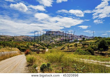 Paysage dans la campagne