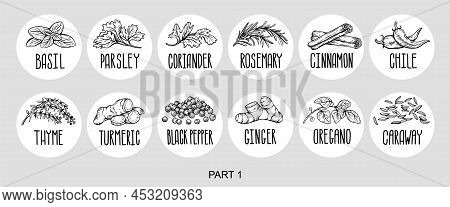 Vector Set Of Stickers For Spices.  Basil, Parsley, Coriander, Rosemary, Cinnamon, Chili, Pepper, Th